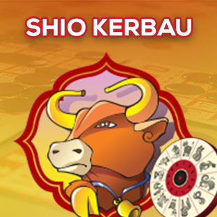 SHIO KERBAU